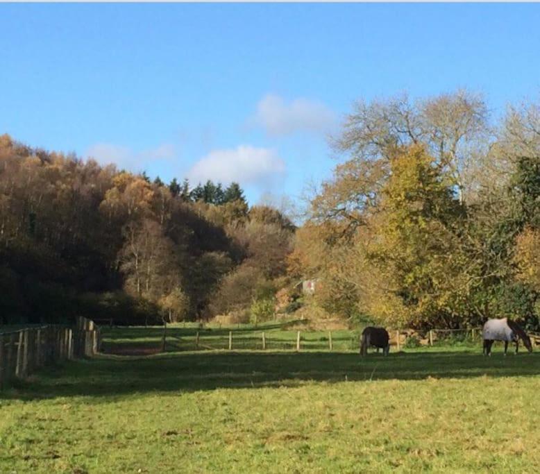 Woodmill Farm Cottage Alvington ภายนอก รูปภาพ