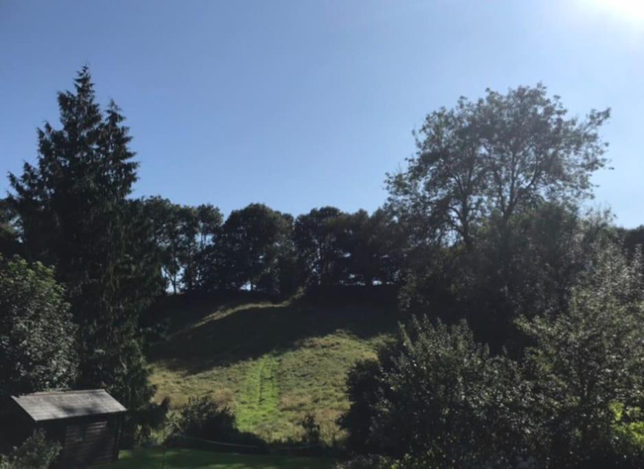 Woodmill Farm Cottage Alvington ภายนอก รูปภาพ