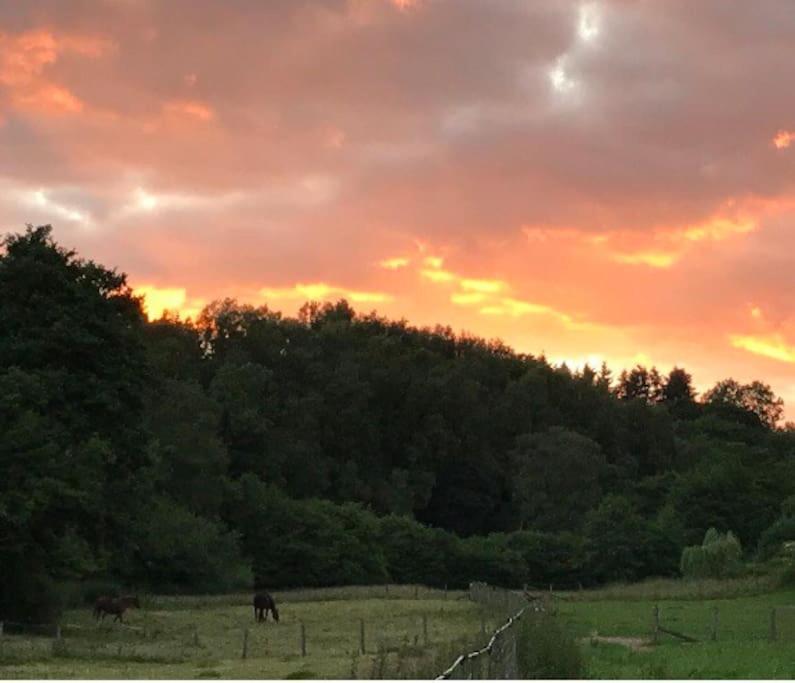 Woodmill Farm Cottage Alvington ภายนอก รูปภาพ