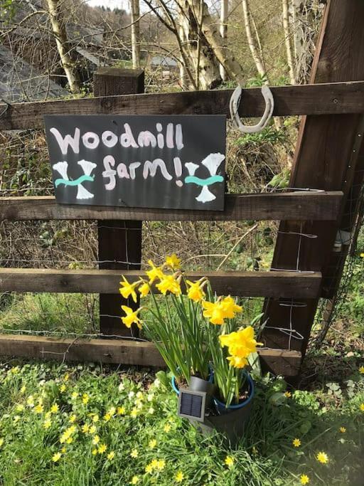 Woodmill Farm Cottage Alvington ภายนอก รูปภาพ